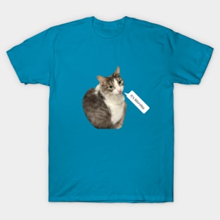 It's Monday Cat T-Shirt